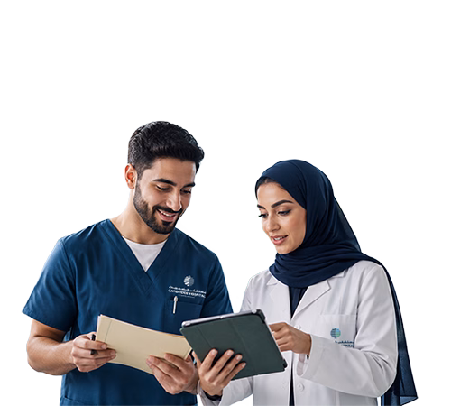Career Hub