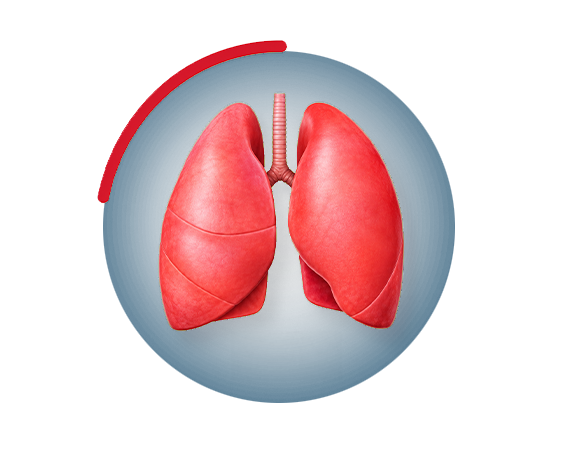 Lung Health Calculator
